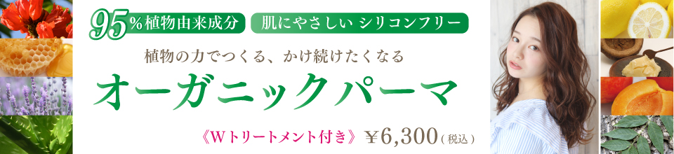 スライドイメージ1